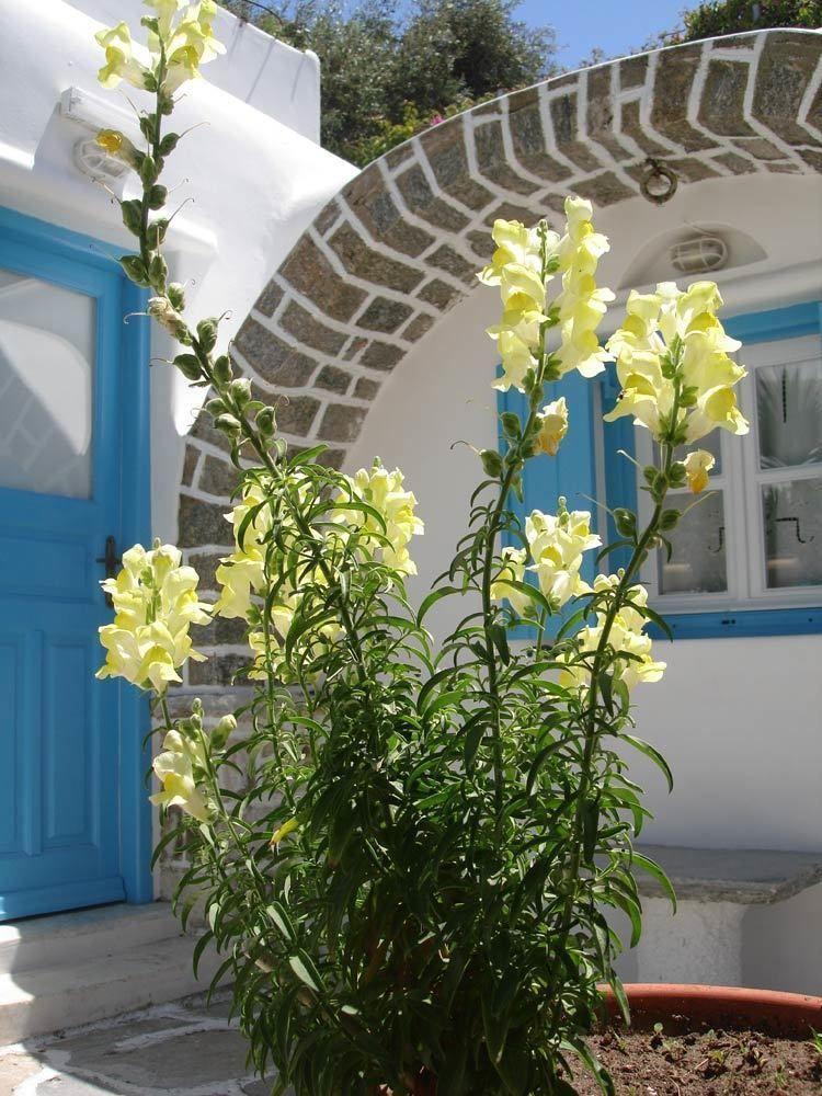 Hotel Philippi Mykonos Town Экстерьер фото